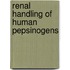 Renal handling of human pepsinogens