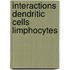 Interactions dendritic cells limphocytes
