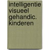 Intelligentie visueel gehandic. kinderen door Rudolf Dekker