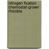 Nitrogen fixation chemostat-grown rhizobia door Huib Stam