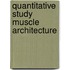 Quantitative study muscle architecture