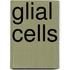 Glial cells