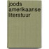 Joods amerikaanse literatuur