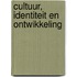 Cultuur, identiteit en ontwikkeling