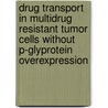 Drug transport in multidrug resistant tumor cells without P-glyprotein overexpression door C.H.m. Versantvoort
