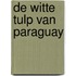 De Witte Tulp van Paraguay