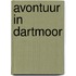 Avontuur in Dartmoor