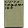 Schelp met droogbloemen poster door Onbekend