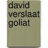 David verslaat Goliat