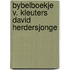 Bybelboekje v. kleuters david herdersjonge