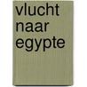 Vlucht naar egypte door S. Veranos