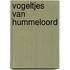 Vogeltjes van hummeloord