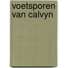 Voetsporen van calvyn by Johan Poort