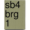 SB4 BRG 1 door V. Bouwhuis