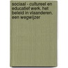 Sociaal - cultureel en educatief werk. Het beleid in Vlaanderen. Een wegwijzer by Unknown