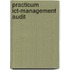 Practicum ict-management audit