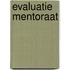 Evaluatie mentoraat