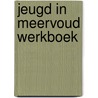 Jeugd in meervoud werkboek door Dieleman