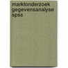 Marktonderzoek gegevensanalyse spss door Gelderman