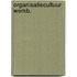 Organisatiecultuur werkb.