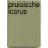 Pruisische icarus