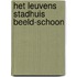 Het Leuvens Stadhuis beeld-schoon