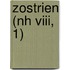 Zostrien (NH VIII, 1)