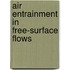 Air entrainment in free-surface flows