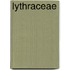 Lythraceae