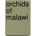 Orchids of malawi