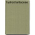 Hydrocharitaceae