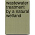 Wastewater treatment by a natural wetland