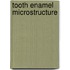Tooth enamel microstructure
