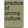 Practice of shrimp culture door N. Matsui