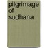 Pilgrimage of sudhana