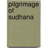 Pilgrimage of sudhana door Fontein