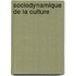 Sociodynamique de la culture