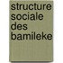 Structure sociale des bamileke