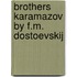 Brothers karamazov by f.m. dostoevskij