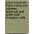 Electromagnetic fields interaction between spherical and spheroidal biological cells