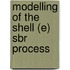 Modelling of the Shell (E) SBR Process