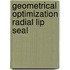 Geometrical optimization radial lip seal