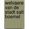Welvaere van de stadt salt boemel door Toon Hermans