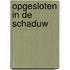 Opgesloten in de schaduw