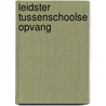 Leidster Tussenschoolse Opvang by P. Overmars