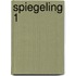 Spiegeling 1