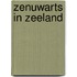 Zenuwarts in Zeeland