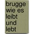 Brugge wie es leibt und lebt