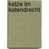 Katze im katendrecht