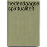 Hedendaagse spiritualiteit door Valk